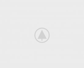 wood-portfolio-placeholder wood-portfolio-placeholder